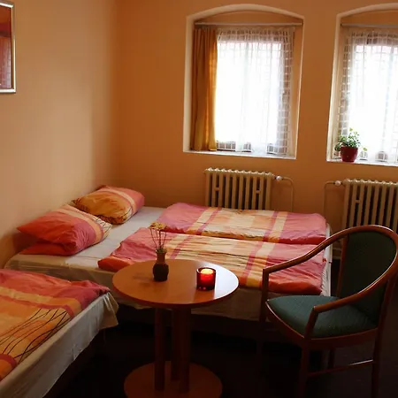Guest house Pinokio *
